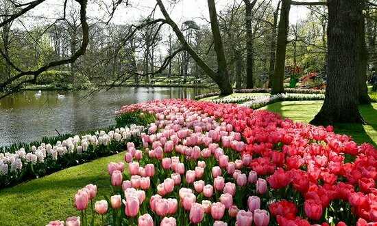 زیباترین باغ بهاری دنیا