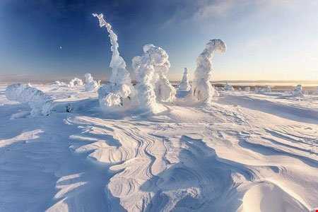 چهره خاص پارک ملی ریسیتونتوری فنلاند