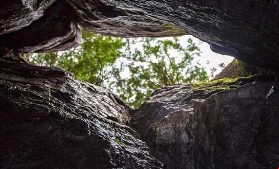 غارهای زیـر جنگلی