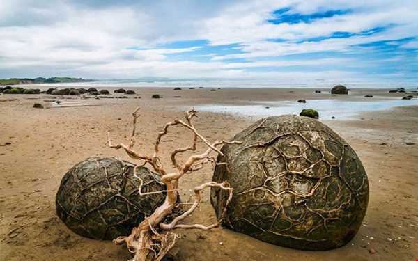 تخم‌های اژدها در سواحل کوکوهه