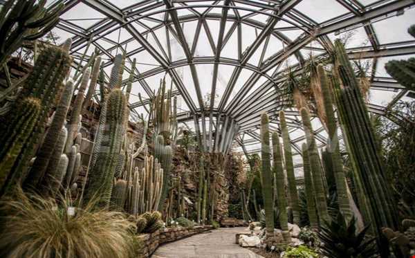 قدیمی‌ترین باغ گیاه شناسی جهان