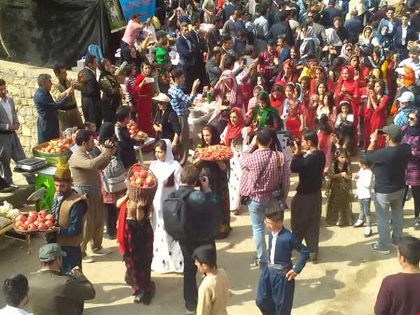 برگزاری جشن انارانه در روستاهای کردستان