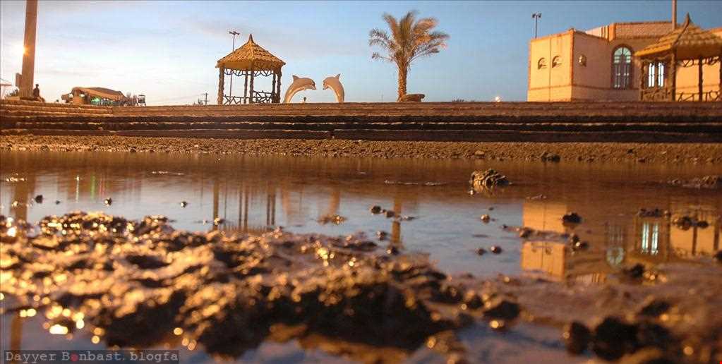 ساحل بندر دیر | تیشینه همسفر باهوش شما