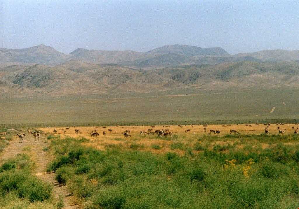 پناهگاه حیات وحش موته | تیشینه همسفر باهوش شما