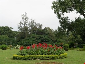 Jannat Garden