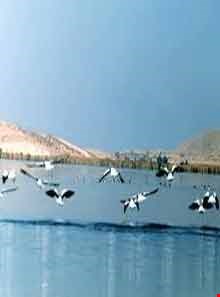 Hamun-e- Jaz Muriyan ( Jazmuriyan Lake )