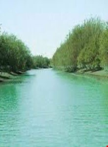 منطقه حفاظت شده حرا رود گز