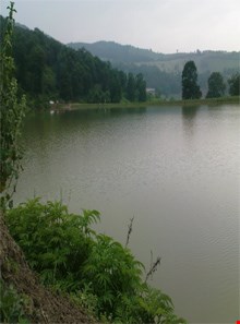 tooshan lake