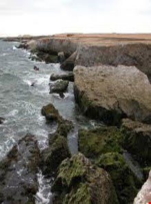 ساحل صخره ای چابهار ( دریابزرگ )