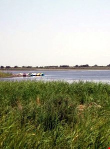 Almagol Wetland