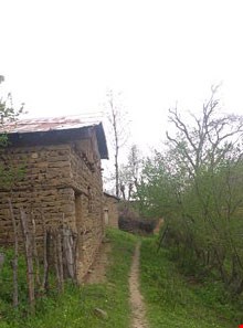 Mayestan village
