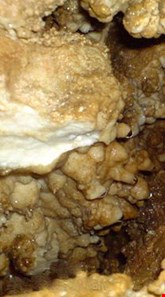 Postin Douz Cave