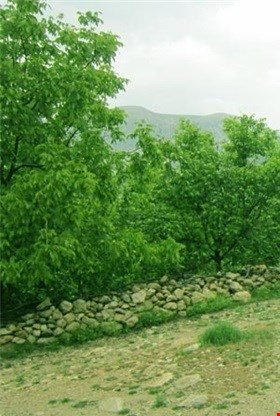 روستای رودخانه سادات