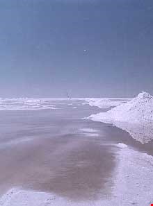 دریاچه نمک ( دریاچه آران - دریاچه مسیله )